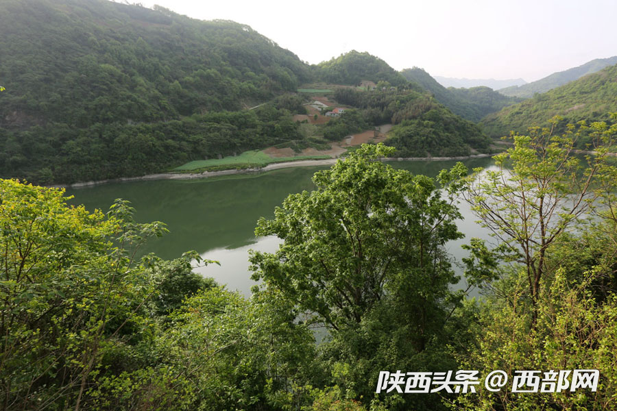 e4617f6decd2a63cf4957e3a7705f040.png