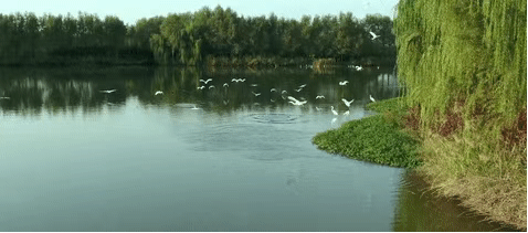 b1526117437a133d6a4523c1f7e64062.gif