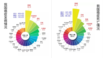 中国癌症新发病例和死亡人数双双登顶