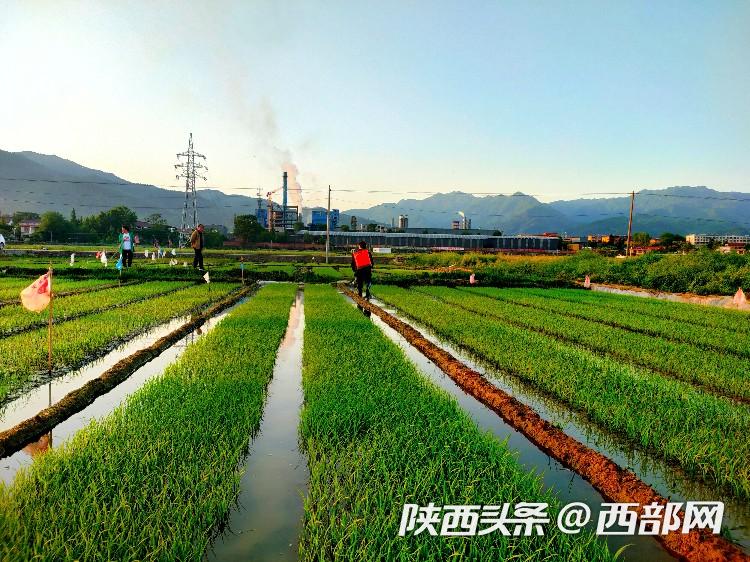 正在上传... 7ab045c4d194042a0cb10c53026d1689.jpg