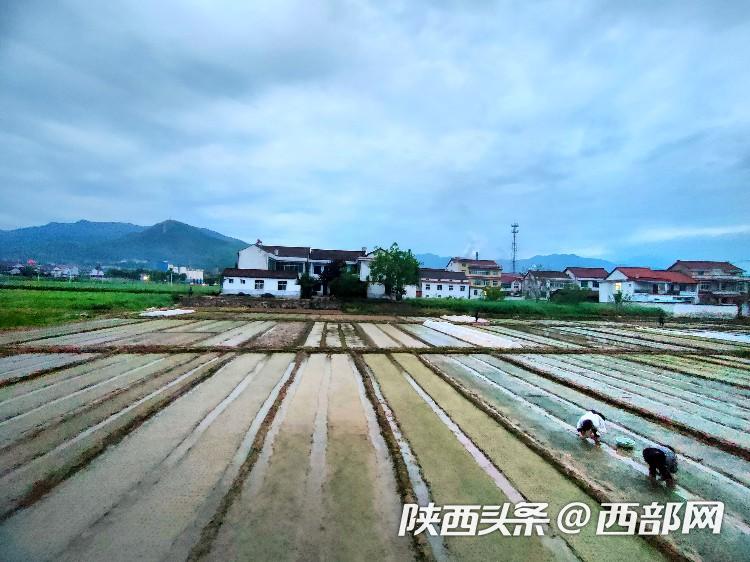 正在上传... cbd3b548985176bbfacde563dccdeffd.jpg