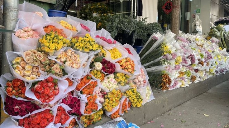 視頻|西安花店忙迎“她經濟” 母親節鮮花、盆栽花都成熱門