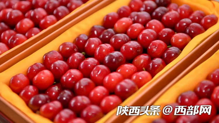 9a2cda86f10d51a64601401cdc5b75d8.png