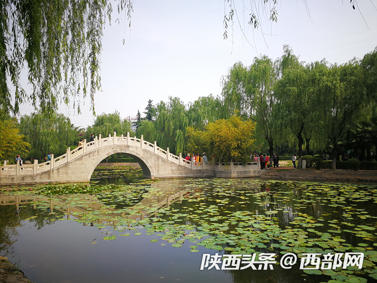 be1c0307a23f5273595f5cb5e30890c5.png
