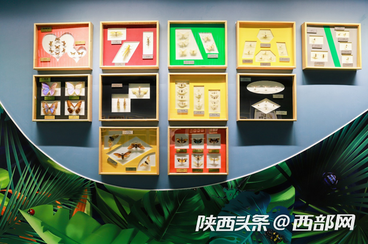 1cb6c433253db2e88e6aab161643ed9b.png