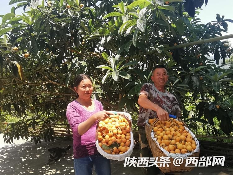 正在上传... ab98546131e030b52433f832ce9b501f.jpeg