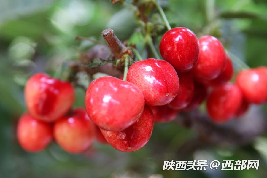 正在上传... 5b4c7348af22a16ee308b98cf1d97abb.jpg