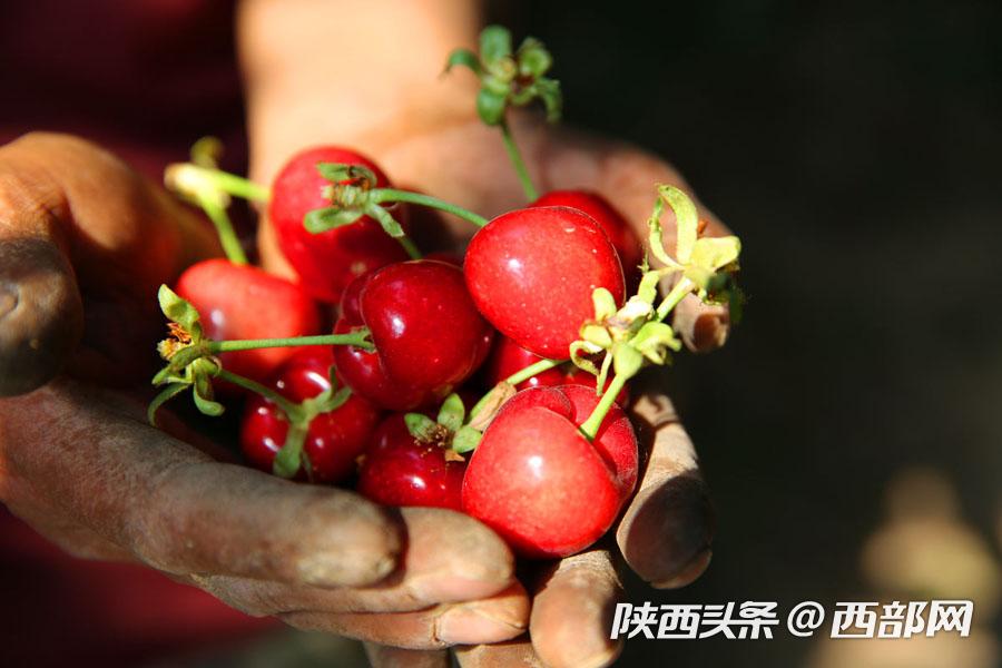 正在上传... 692e213f47e9e29e69e92879fcad898c.jpg