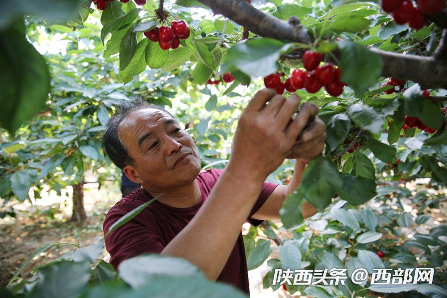 正在上传... b532a9d913afa23cf1b1dea58e1a5640.jpg