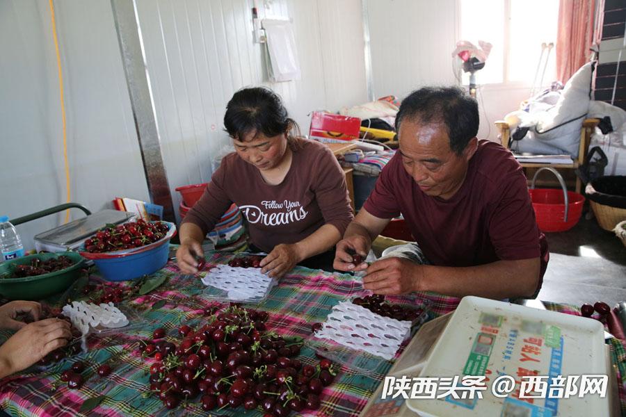 正在上传... c79343b16ee3a010ed13efe19ff3ca2d.jpg