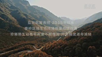 2b5e90be777cb56641c1a26d416b5251.gif