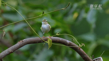 448b3f837bdbe3e00584d40fb1ea0194.gif