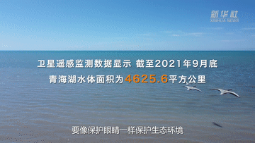 50a8042d969b626ff46568db00e82991.gif