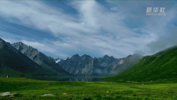 81788fdc5f2b603a3c3b01b4d4074d65.gif