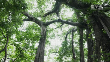 de3410417d718458193dee063284451e.gif