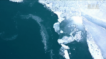 e372a074a066017c9d7d655a3ea6dc2e.gif
