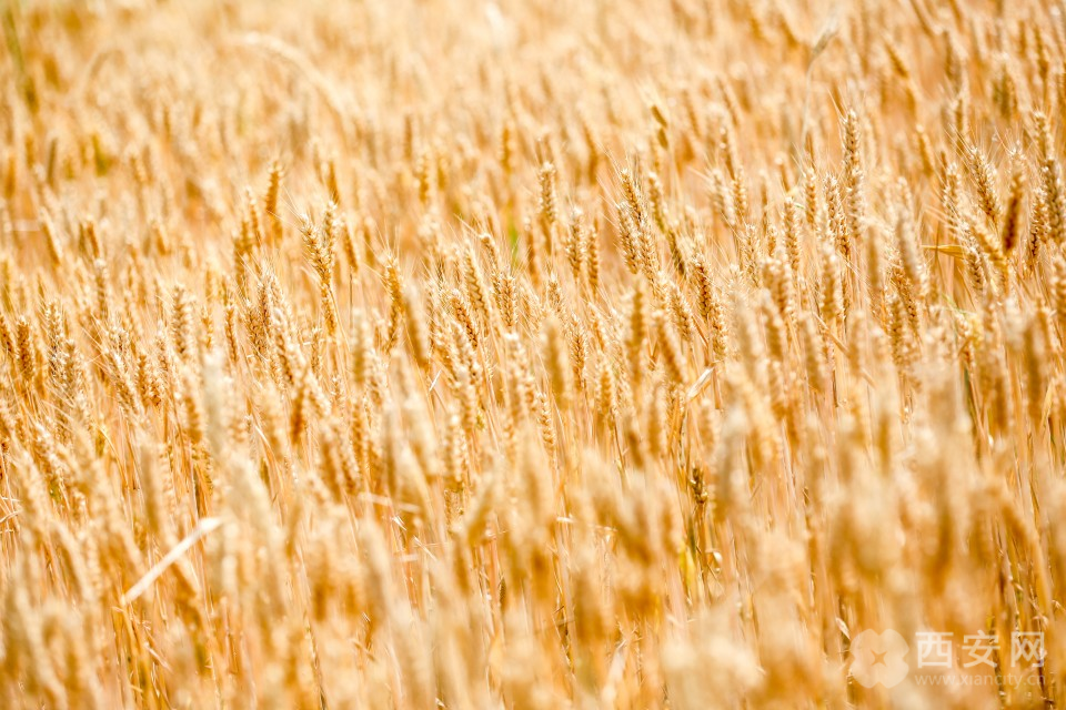 e1f1432d47ac5e3700f6a5c415de4287.png