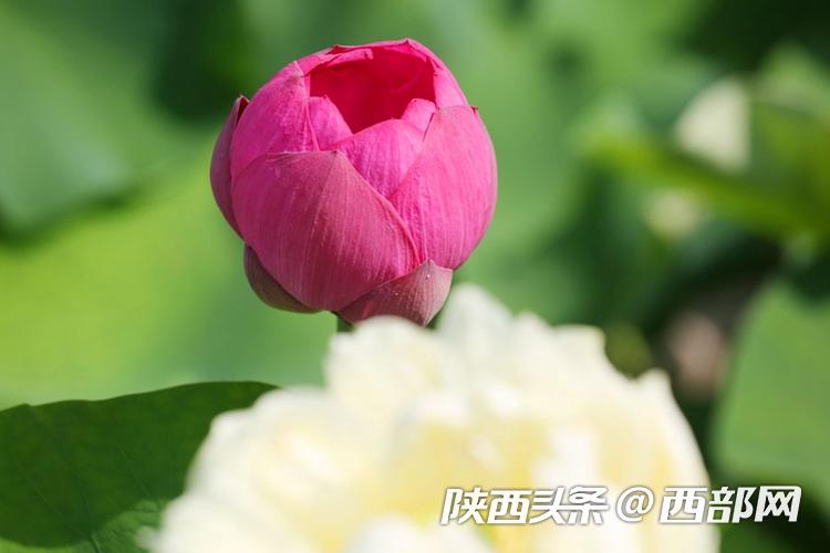 a000cc12269c2a4d6f8e0a844db49793.jpg