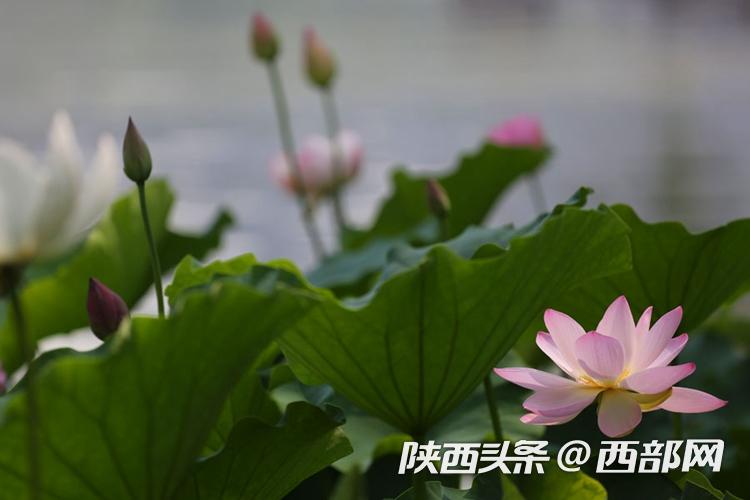 8dcada5a0807e67ace183b0a2c79183f.jpg