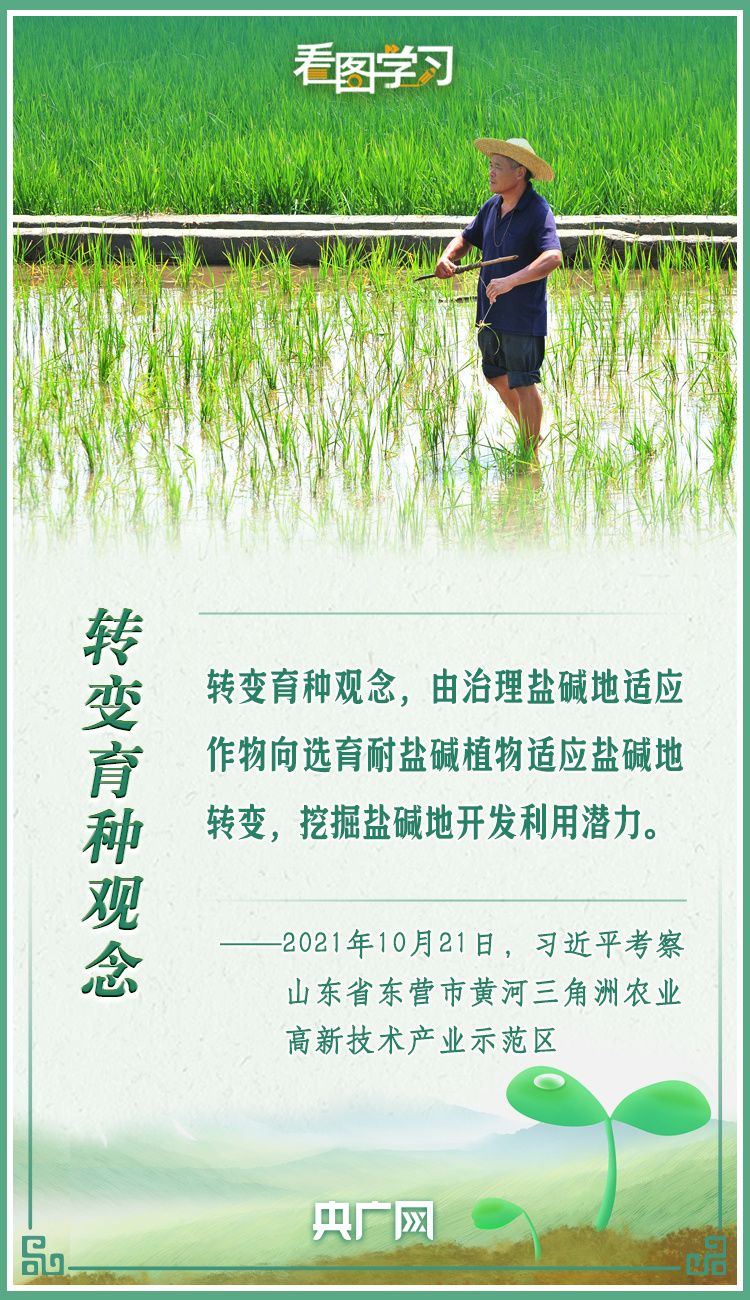 cf65ae3a897ed13051bc1cda29f3a005.jpeg