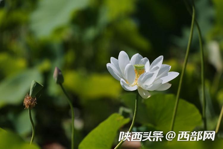 9c303ff730fcba9c3e689f7ef43d3e02.jpg