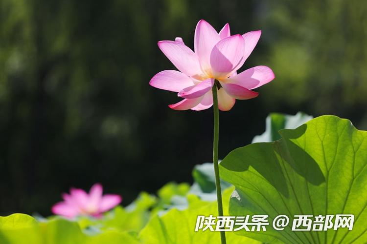 84ff3c9f03c41aead026d1da106dd261.jpg