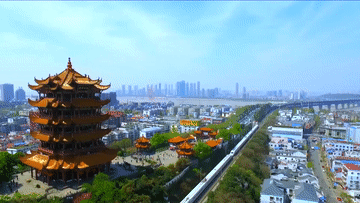 872ee8b29a2f9a113b4b844be4d318eb.gif