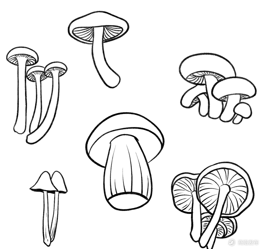 c553ccea3b7d1eed755c9ea5ac2fa6c8.png
