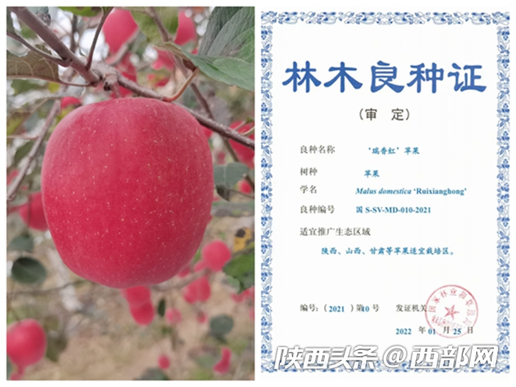 0db61a82abef5a2ce578a2d162b16cd1.png