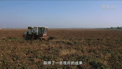6ae1a8d2485ae679e30294f64444b4fb.gif