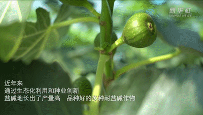 7b8a89d54d1f13c5e58a64b19a0f14ad.gif