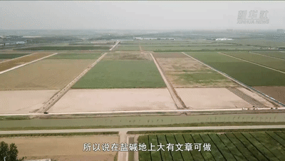 7f26c1f197c320fc7c6b86c3cb500bd6.gif