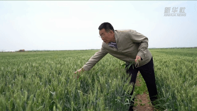 ba31ad09ce7e16bf58b8a812792a0ac2.gif