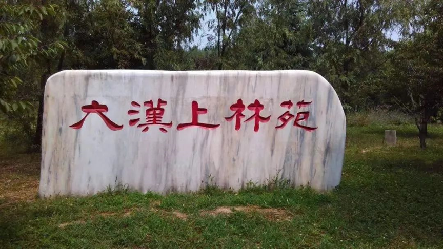 d0a55e9f6fc3242e1e6f76756fe582aa.png
