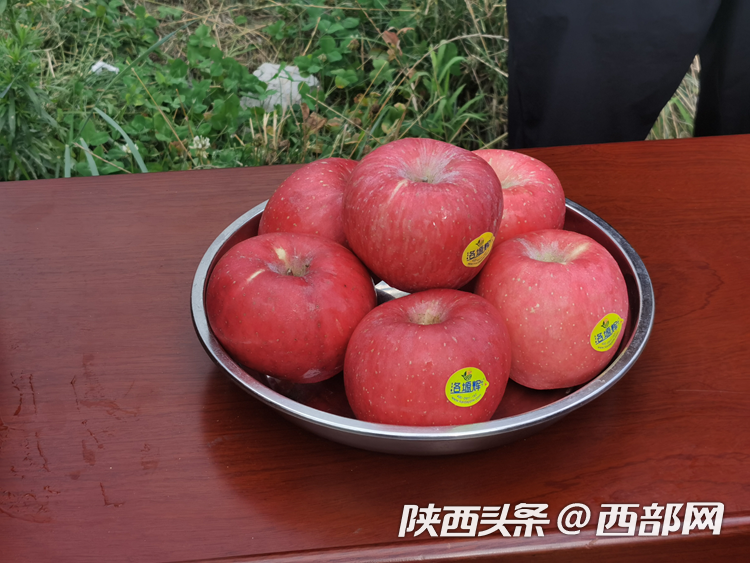 115973c9eb600067ba444d505922fbfd.png