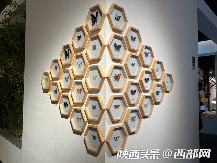 a3d1d7bf8da84894b8572cb8ea75d995.png