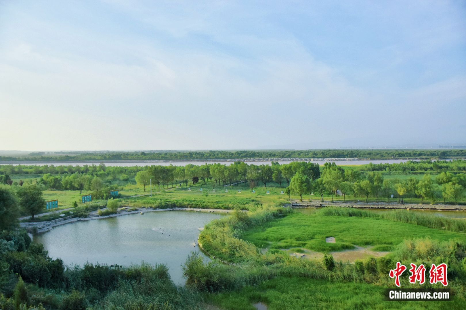潼关黄河国家湿地公园一景。黄钰涵 摄