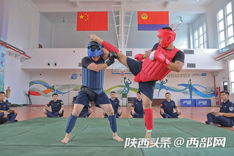 b2366c259eacf21b06cf74486858250e.png