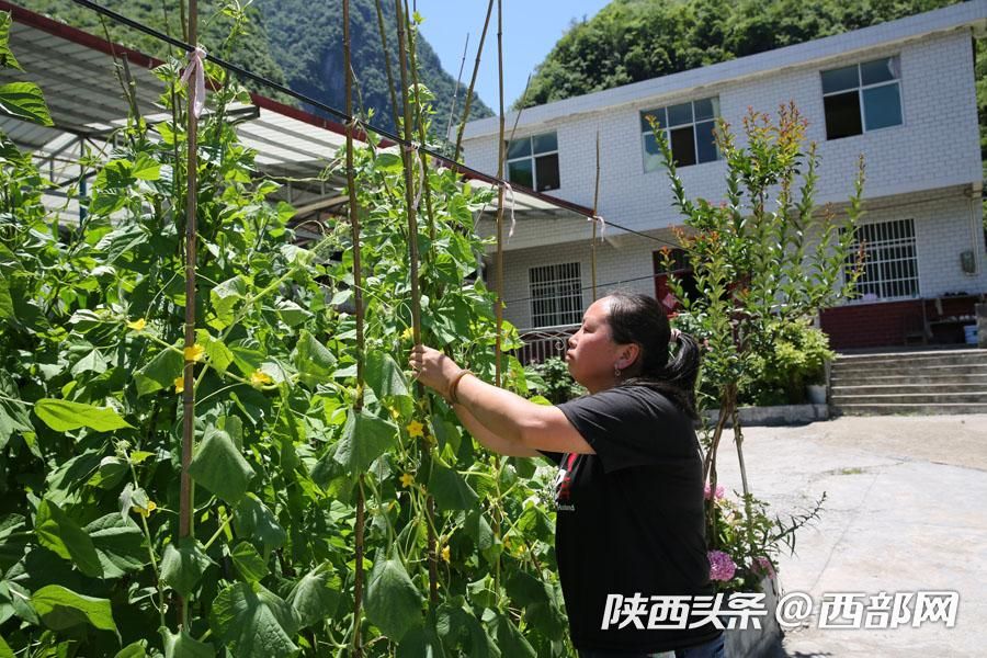 正在上传... 40681101b2fd98e790fa36c5807d85e2.jpeg