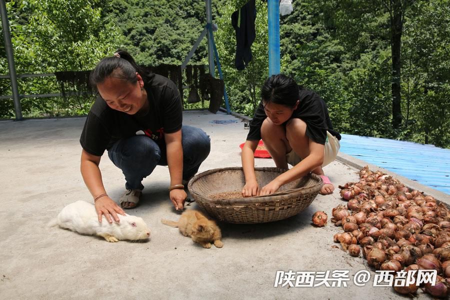 正在上传... cf96faeeb1d71626ca61fa11aa21f463.jpeg