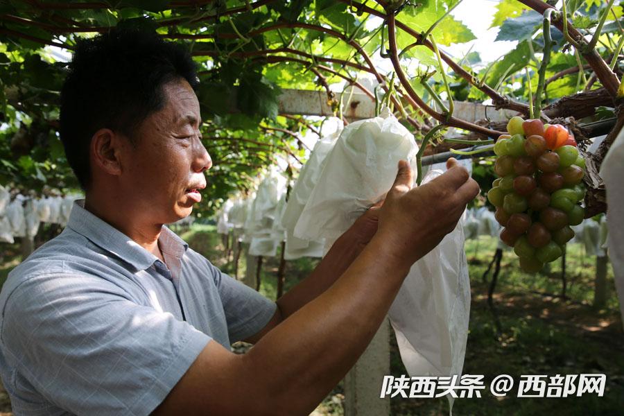 a4809cff6d3d721a5d59fee0301ef776.JPG
