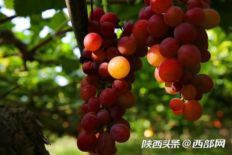 d5e9b2bcbe1aa7c22ed37468d820ab7a.jpg