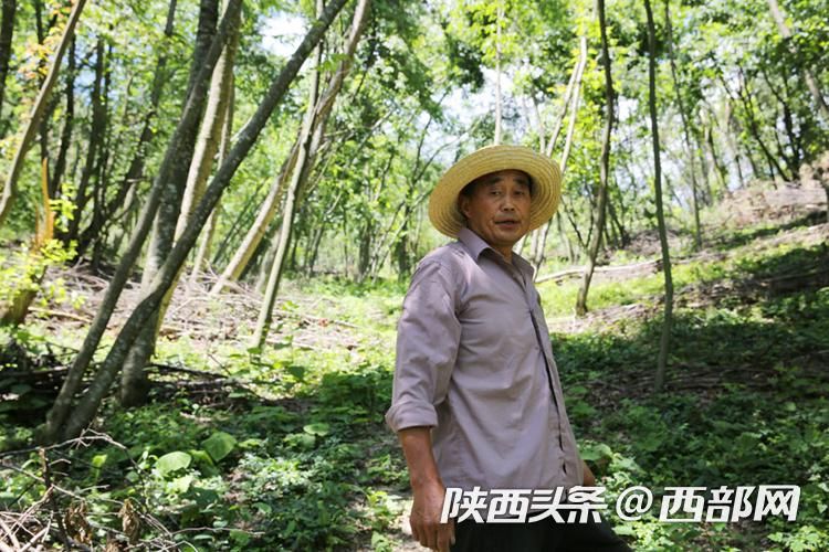 正在上传... 2f21ce7a9eb816a42afb2eab0d134ba6.jpeg