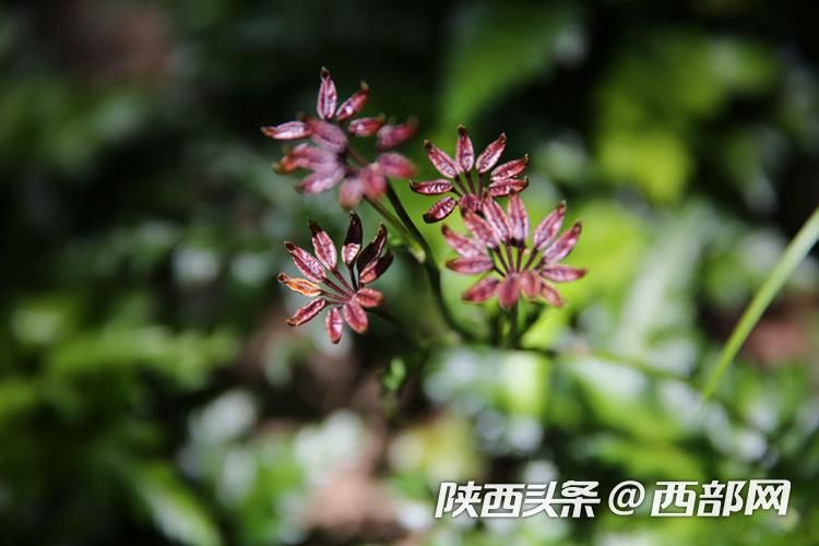 正在上传... a8481170286b0b9642e075a780210ea0.jpeg