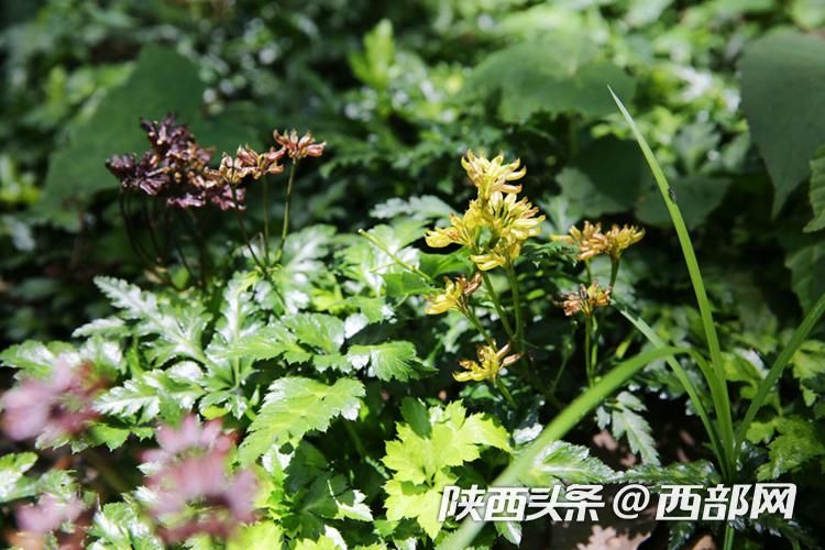 正在上传... e76f7a7d59ad994be792f8ed7af3bcfa.jpeg