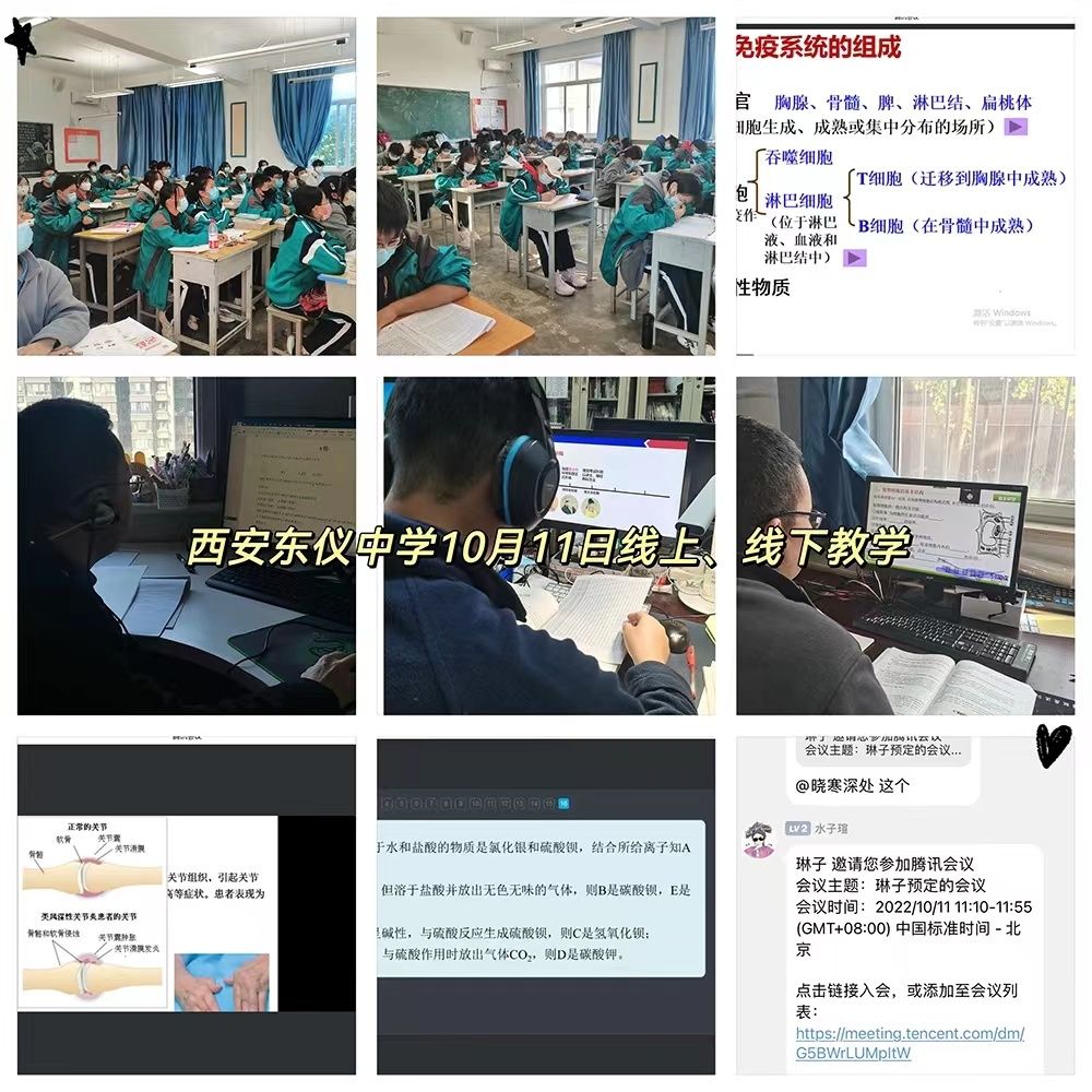 1b78975d49561c75834eedc1fa50aafc.jpeg