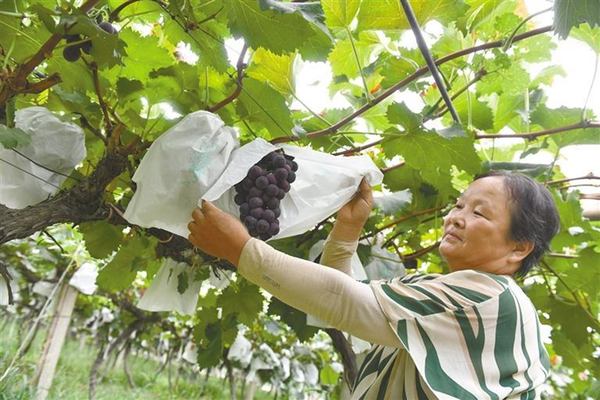 正在上传... 7b735d5e22cd268b0b154b12aee35b09.png