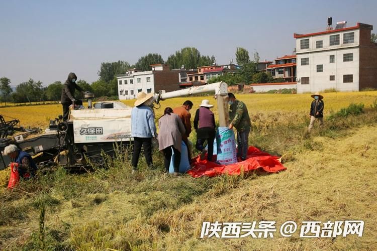 正在上传... 932bd1f60b0c8decaf536ce0a8d88f86.jpeg