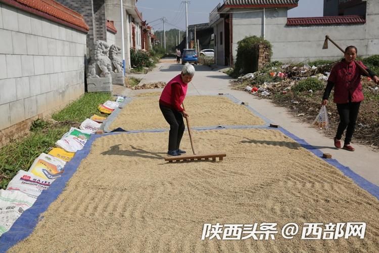 正在上传... 65b825af5dde51a2e83534f8a1ea4235.jpeg