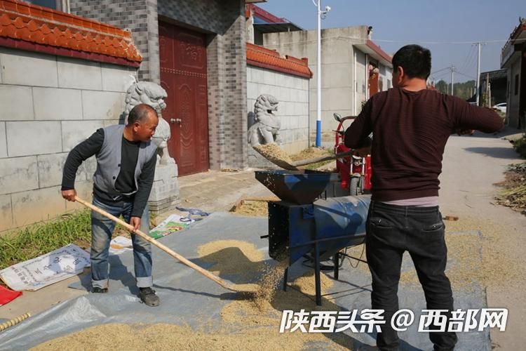 正在上传... 2c5139abc05d696b968c71f148a245f8.jpeg